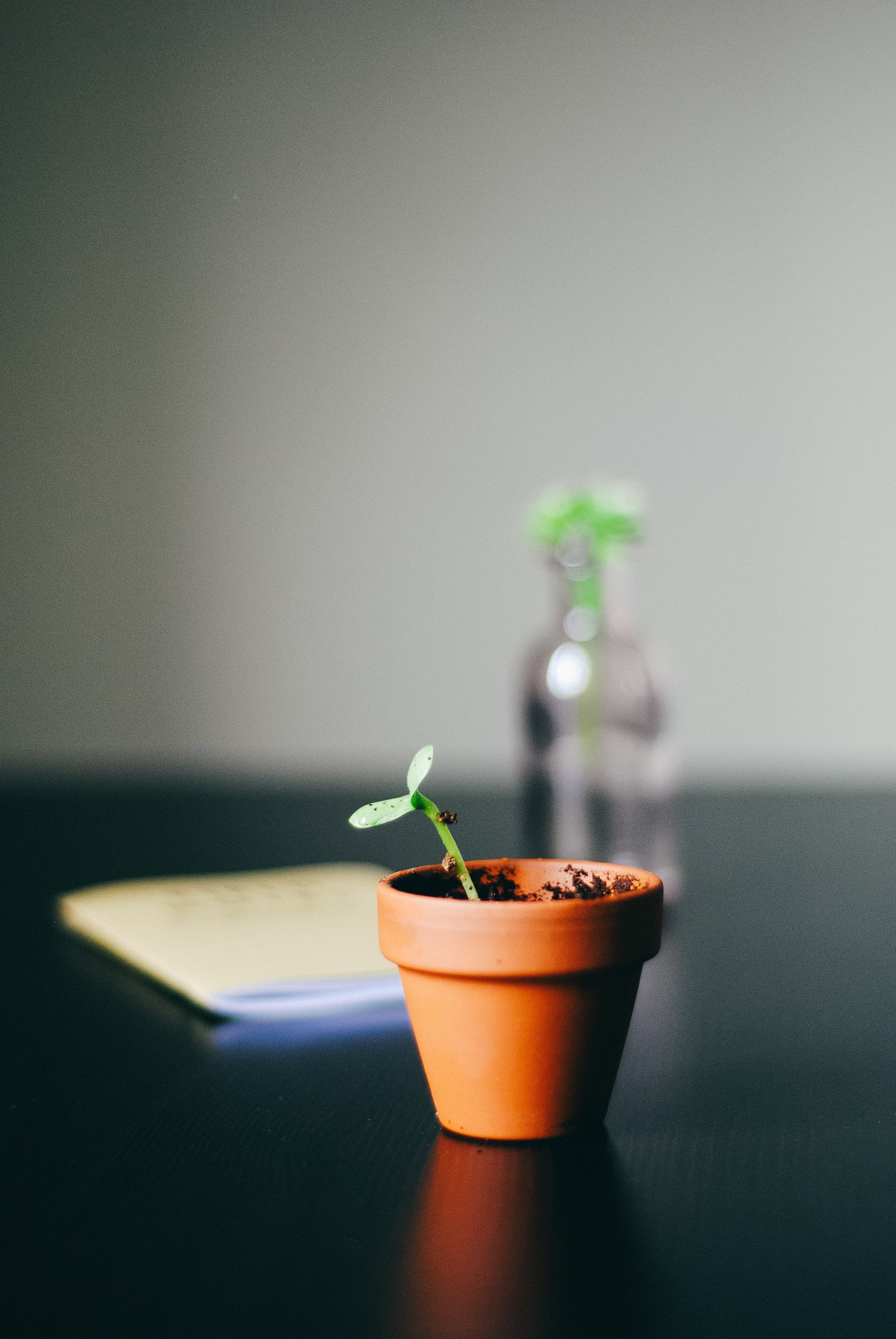Earned Media & Podcasts